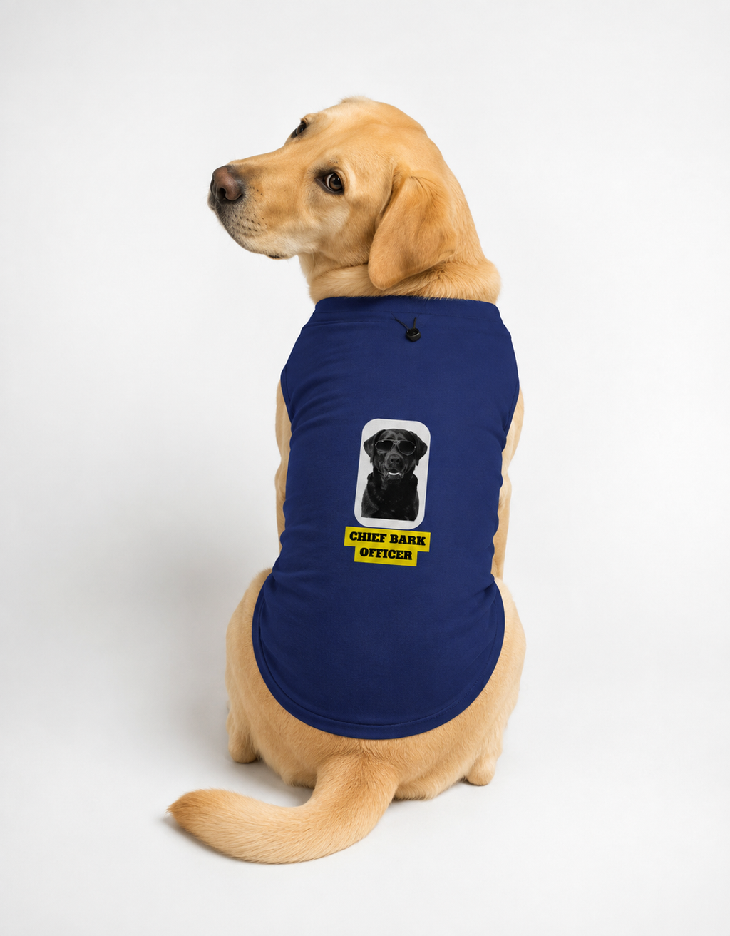 A Labrador dog wearing a navy blue pet shirt with a 'Chief Bark Officer' graphic, photographed against a seamless white studio background.