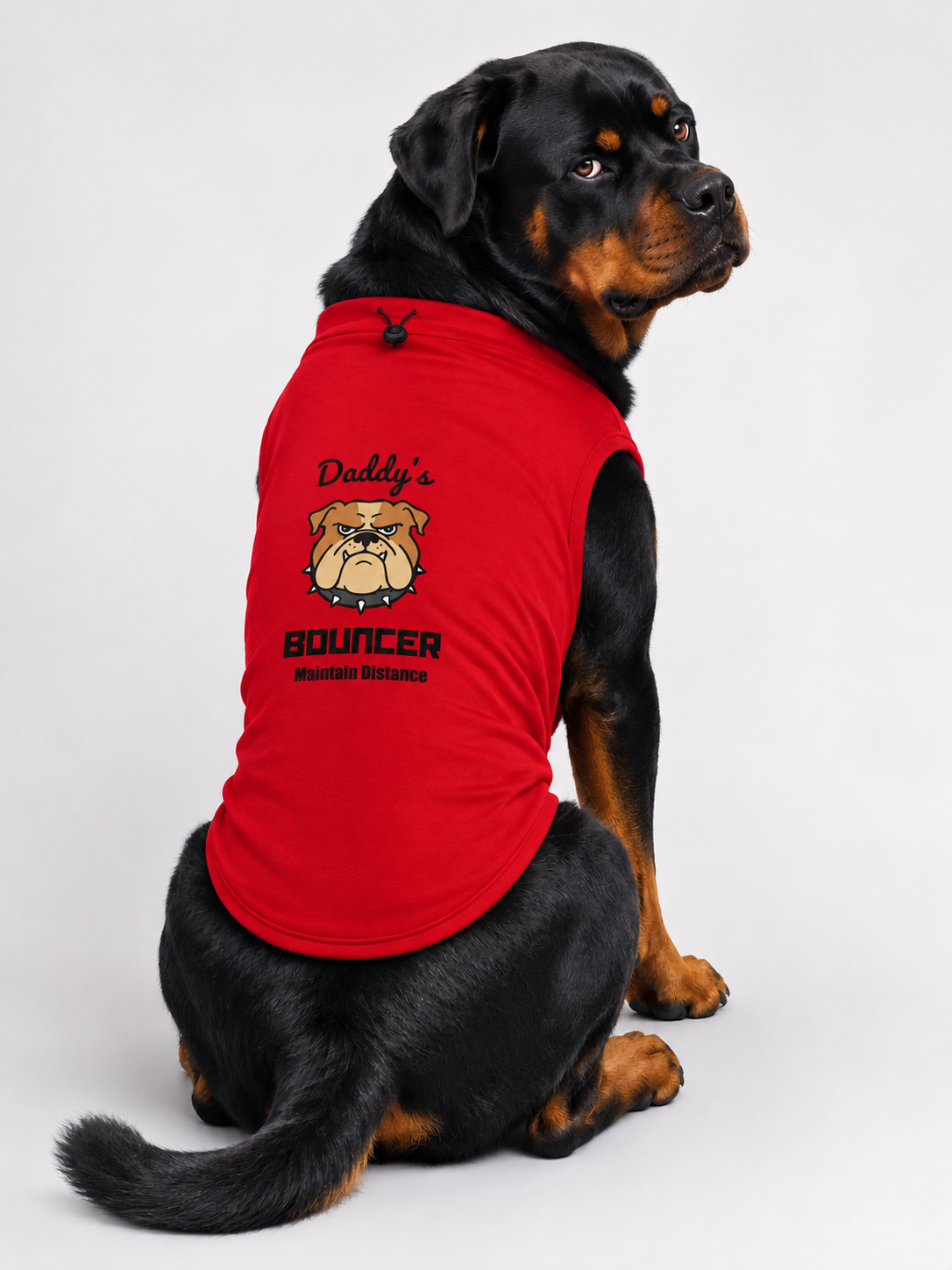 A Rottweiler dog wearing a red sleeveless dog shirt with a bulldog graphic and the text 'Daddy's Bouncer Mountain Dog Team', photographed against a light gray studio background.
